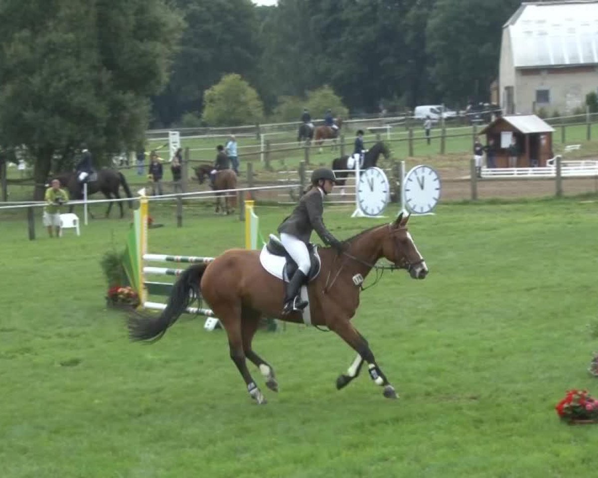 jumper Quidam's Girl 3 (Hanoverian, 2008, from Quidam de Revel)