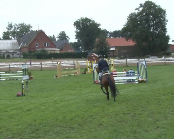 jumper Carentina (Holsteiner, 2008, from Carentan)