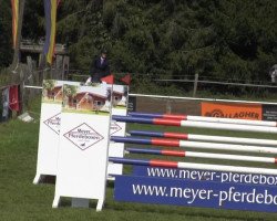 Springpferd Copa Express (Holsteiner, 2005)
