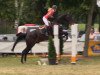 jumper Charmeur HRH (Hanoverian, 2008, from Carenzo)