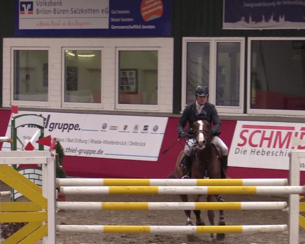 Reitturnier Salzkotten 2020
