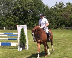 jumper Lesharo (Hanoverian, 2008, from Lordanos)