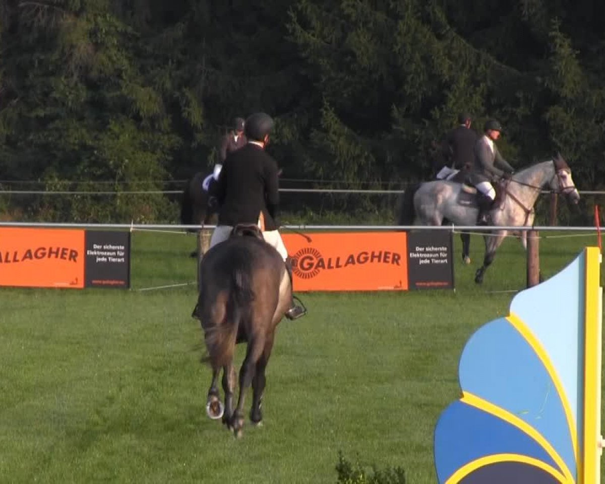 Springpferd Carzara (unbekannt,  , von Casiro I)