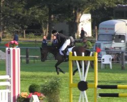 jumper Contalia (Hanoverian, 2009, from Contagio)