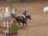 jumper En Cantara (Hanoverian, 2007, from Embassy I)