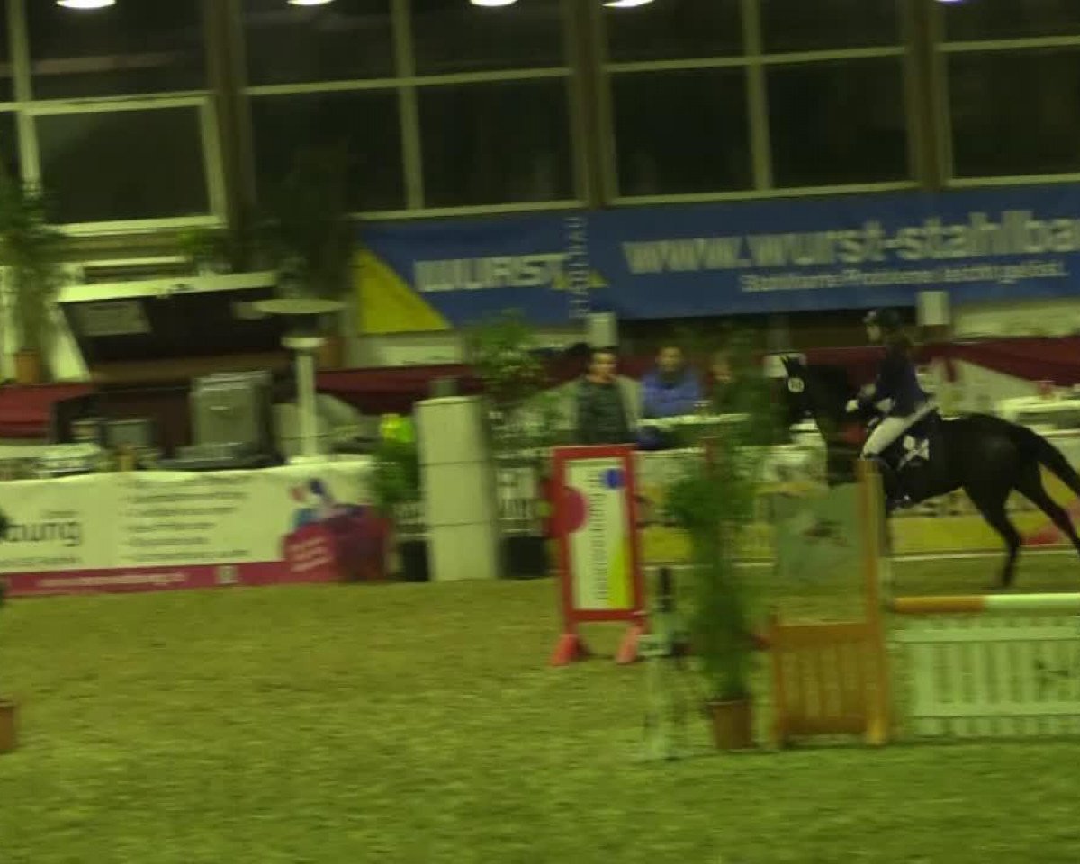 jumper Sambuca 65 (Oldenburg, 2007, from Sorento OLD)