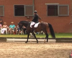 dressage horse De Mone' (Danish Warmblood, 2004, from de Noir 3)