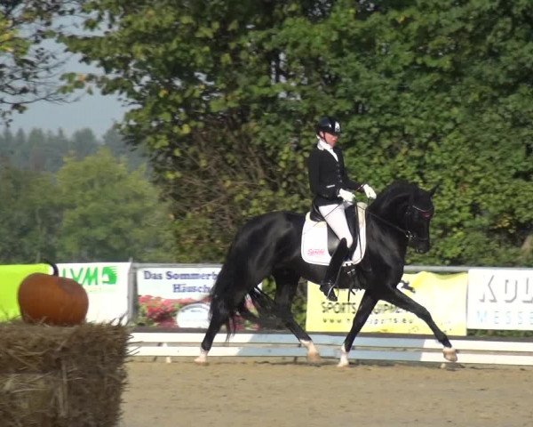 Reitturnier Lindlar-Falkenhof 2020
