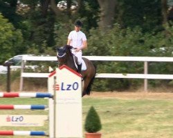 jumper Quantum Chanel (Oldenburg show jumper, 2008, from Quality 9)