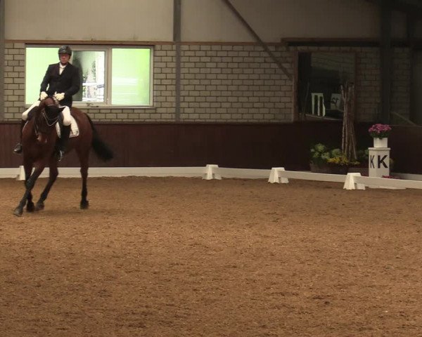 Reitturnier Kirchhellen-RSV Zur Linde 2020