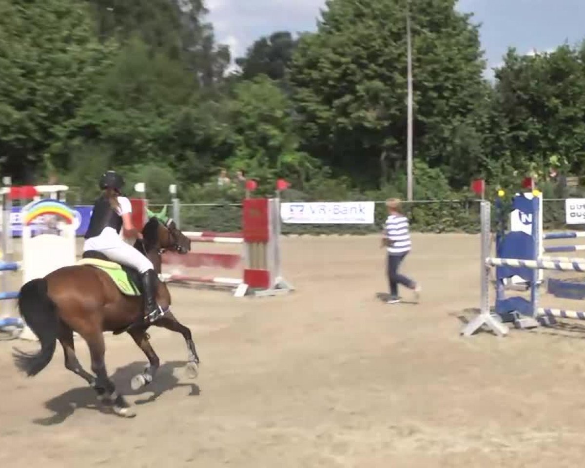 Springpferd Conny 365 (Welsh Pony (Sek.B), 2000, von Knockillarees Colin)