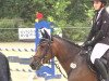 jumper Jamie 50 (German Riding Pony, 2007, from Maverick)