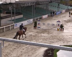 jumper Carlos 680 (Holsteiner, 2009, from Cascari)