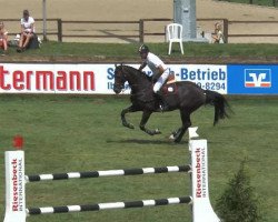 jumper Brennergraaf (KWPN (Royal Dutch Sporthorse), 2006, from Quasimodo Z)