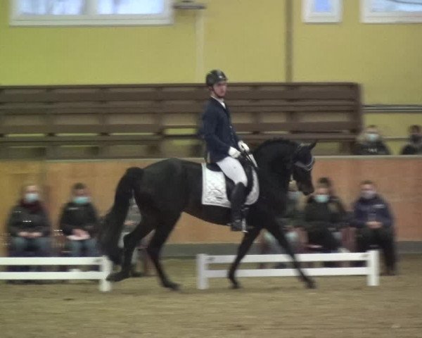 Reitturnier Frechen-Grefrath - Sonnenhof 2020