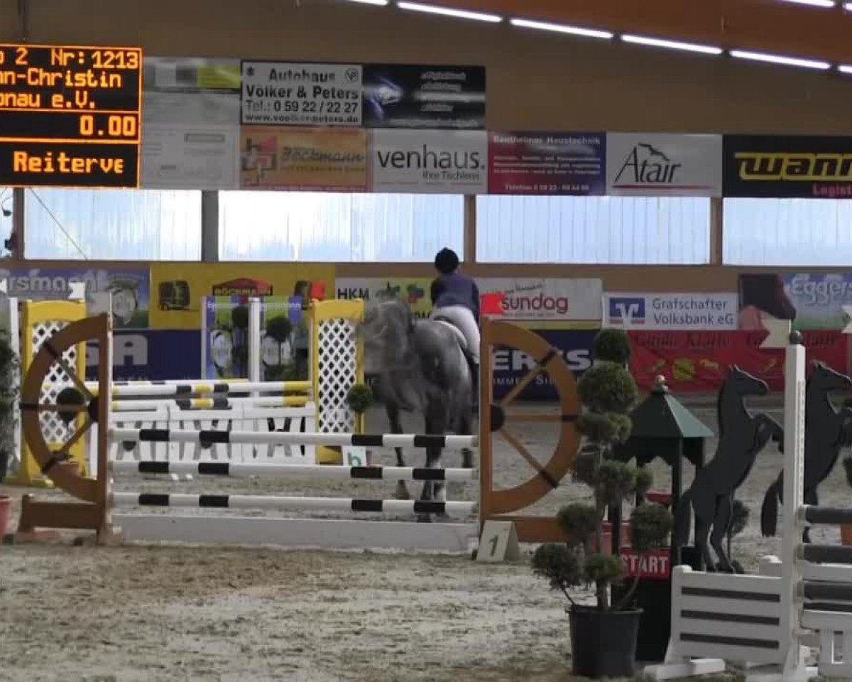 jumper Carlitho 2 (Zangersheide riding horse, 2009)