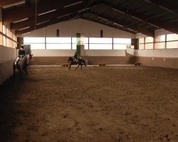 dressage horse Elise 27 (Hanoverian, 2005)