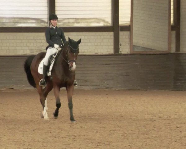 Reitturnier Heilbronn 2020