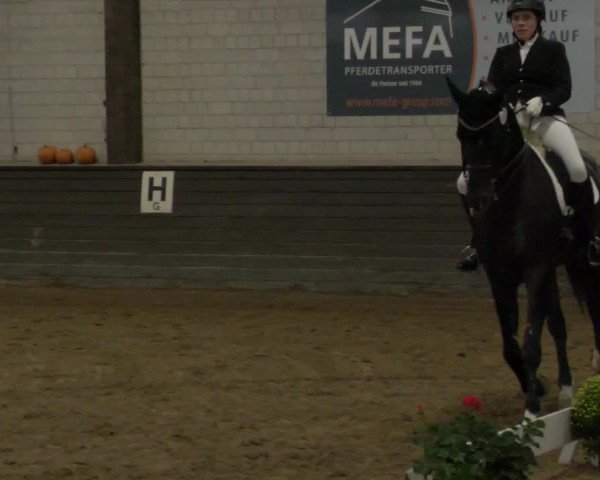 Reitturnier Heilbronn 2020