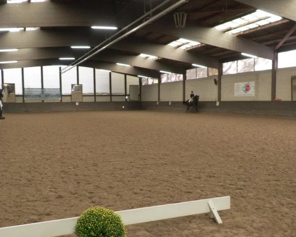 Reitturnier Heilbronn 2020