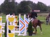 jumper Quintano 36 (Hanoverian, 2008, from Quintender 2)