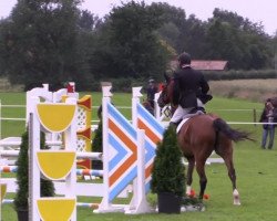 jumper Quintano 36 (Hanoverian, 2008, from Quintender 2)