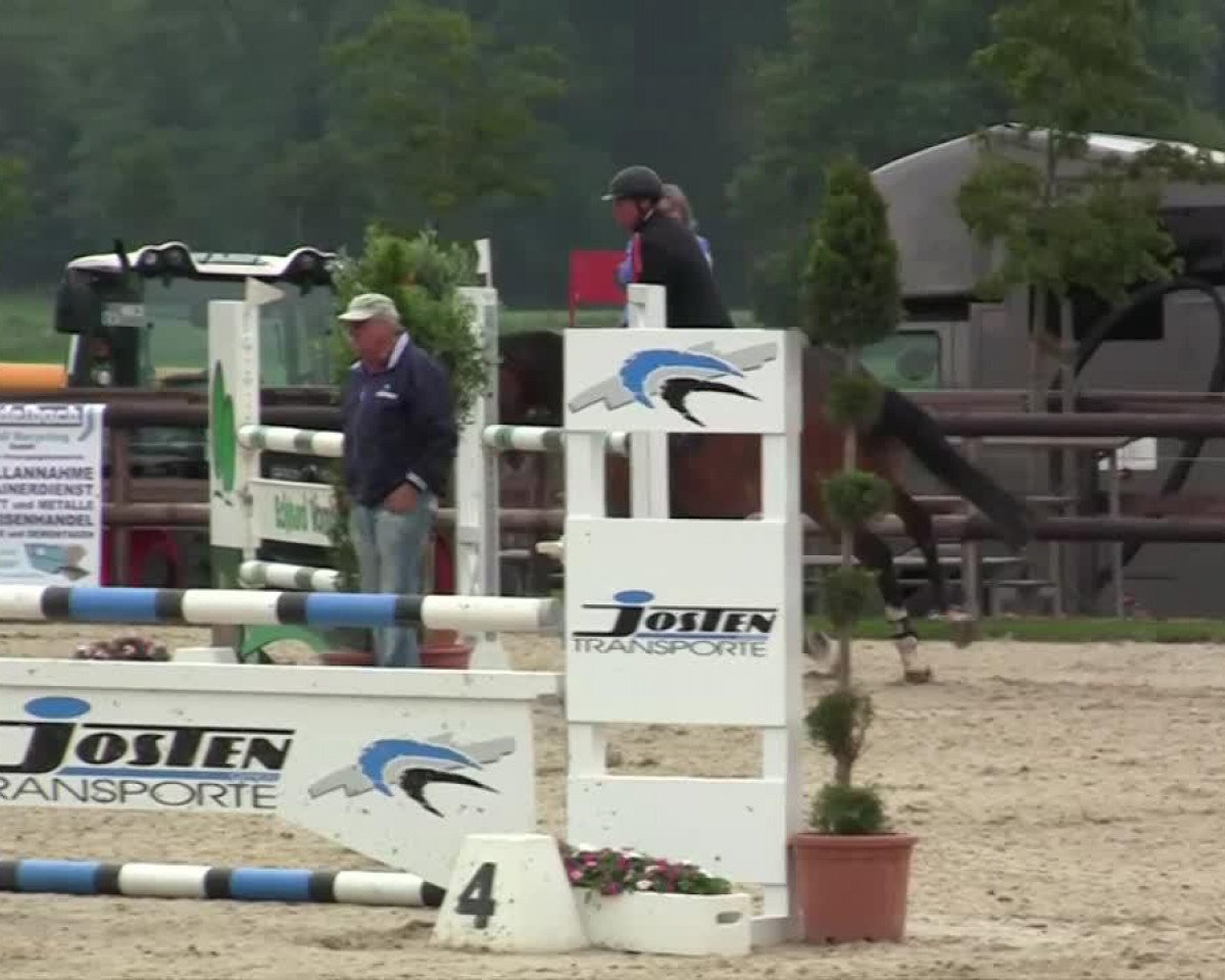 jumper Coco Chanel (KWPN (Royal Dutch Sporthorse), 2007, from Carthino Z)