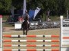 jumper Lenz 52 (Oldenburg show jumper, 2008)