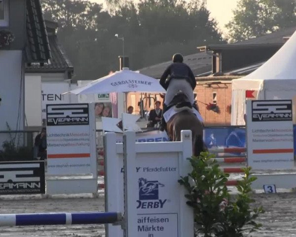 jumper Ninjo 32 (KWPN (Royal Dutch Sporthorse), 2009)