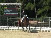 dressage horse Carissa 10 (KWPN (Royal Dutch Sporthorse), 2007, from Tuschinski)