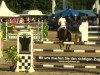 jumper Bernardo van de Helle (Belgian Warmblood, 2001, from Darco)