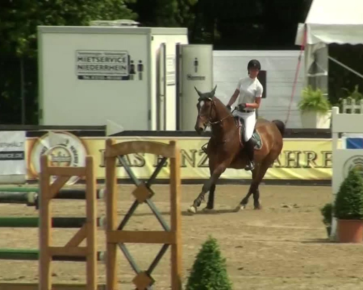 jumper A Cassandra (KWPN (Royal Dutch Sporthorse), 2005)