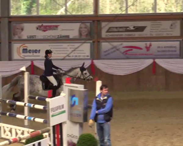 jumper E Coevit II (Polish Warmblood, 2003)