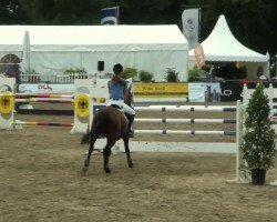 Springpferd Draka (Polnisches Warmblut, 2002)