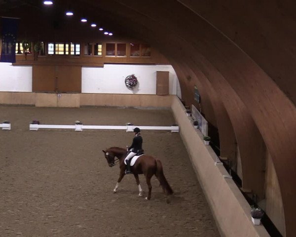 Reitturnier Hövelhof 2020