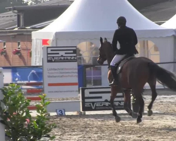 jumper Nilson 26 (Hanoverian, 2009, from Numero Uno)