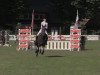 broodmare Dina 299 (Oldenburg show jumper, 2009, from Diarado)