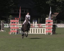 broodmare Dina 299 (Oldenburg show jumper, 2009, from Diarado)