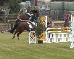 Springpferd Carlos R 4 (KWPN (Niederländisches Warmblut), 2007, von Sydney)