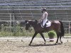 dressage horse Avec L'Amour 2 (Württemberger, 2008, from Alassio's Boy)