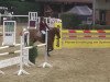 jumper Loughnatousa Rafa (Irish Sport Horse, 2000)