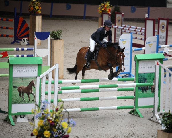 Zuchtstute Iko Ludine (KWPN (Niederländisches Warmblut), 2013, von Caspar (Berlin))