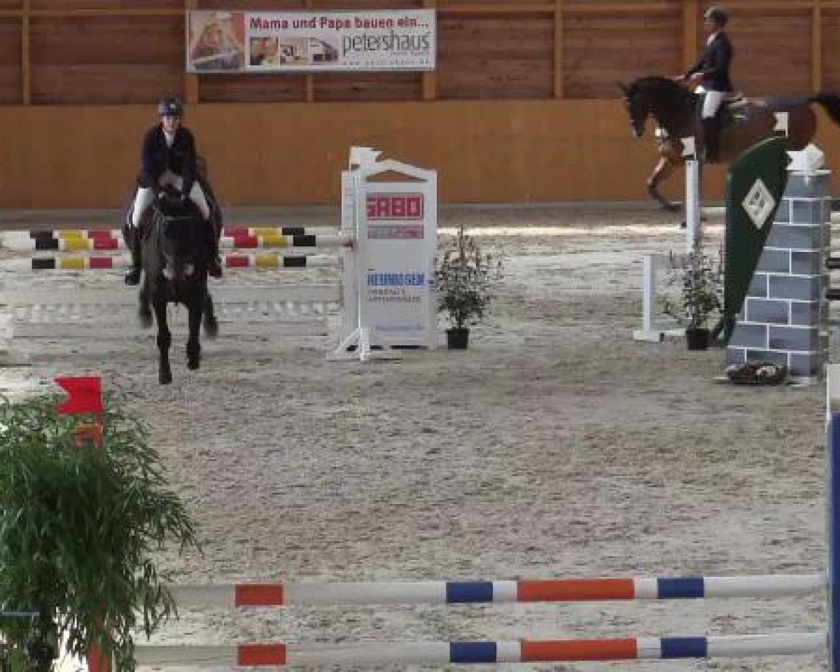 jumper Cabana 13 (Hanoverian, 2009, from Canstakko)