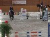 jumper Cabana 13 (Hanoverian, 2009, from Canstakko)