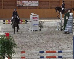 jumper Cabana 13 (Hanoverian, 2009, from Canstakko)