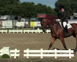 dressage horse Fürst Bocholt (Rhinelander, 2008, from Flovino)