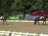 dressage horse Prinz Quantico (Westphalian, 2009)