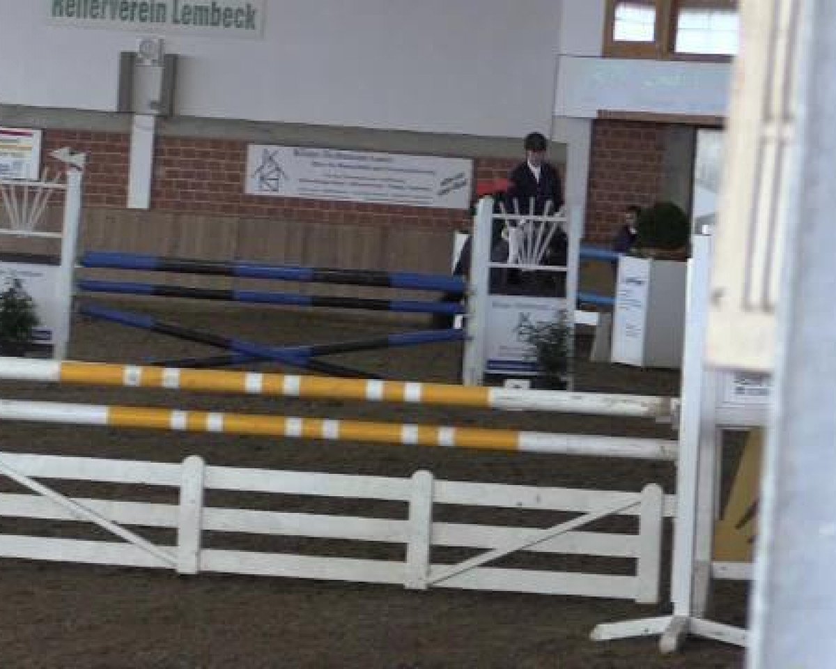 broodmare Victoria MB (Westphalian, 2009, from Vulkano FRH)
