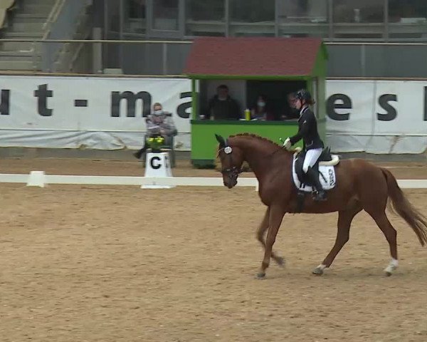 Reitturnier Kreuth 2020