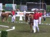 Zuchtstute Chici Dira RB (Deutsches Reitpony, 2010, von Fs Coco Jambo)